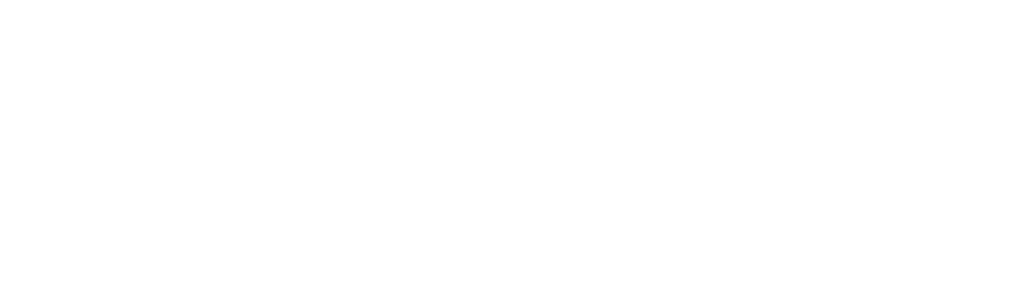 ANDREI GUEDES